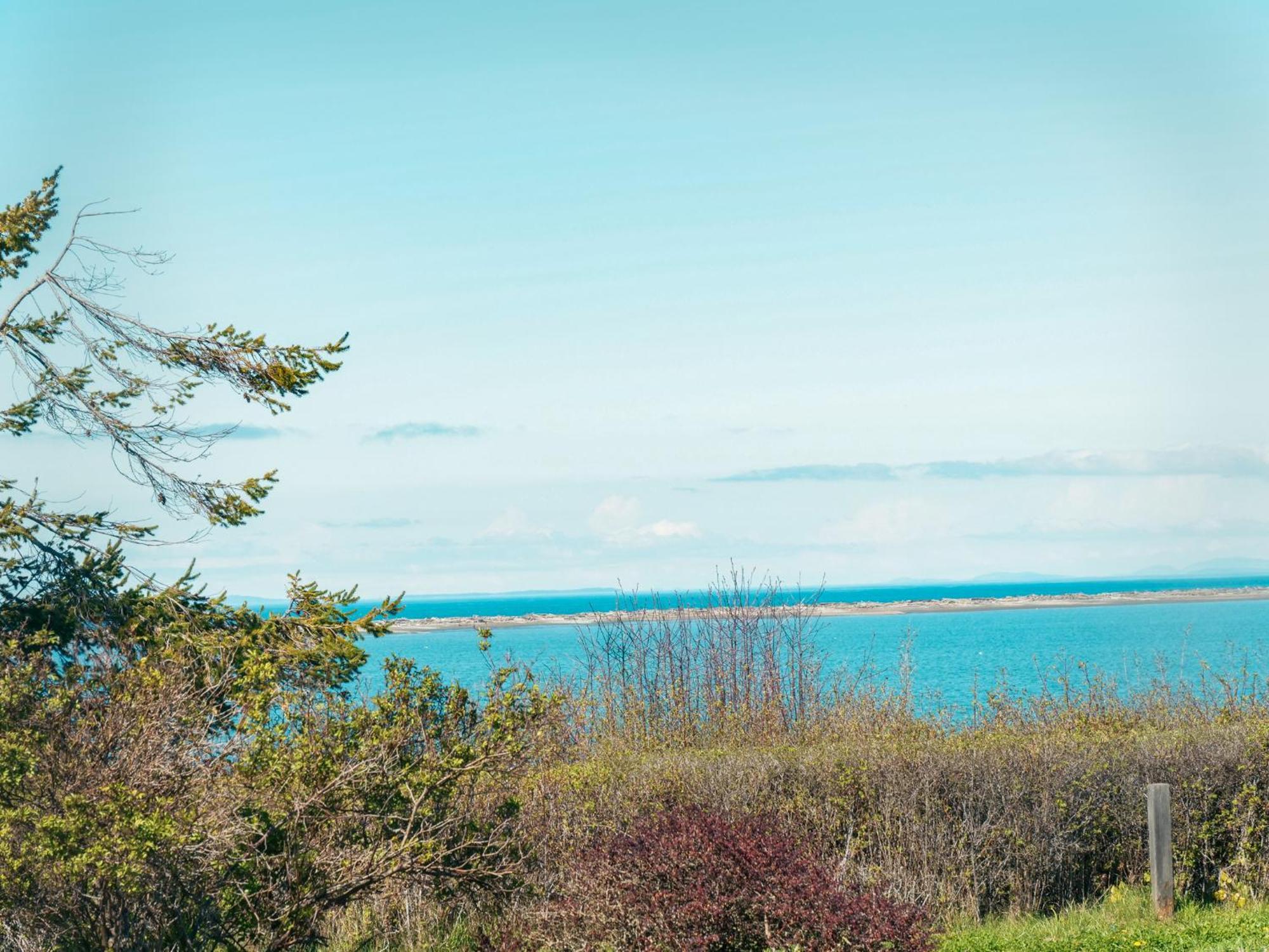 Dungeness Bay Cottages スクイム エクステリア 写真