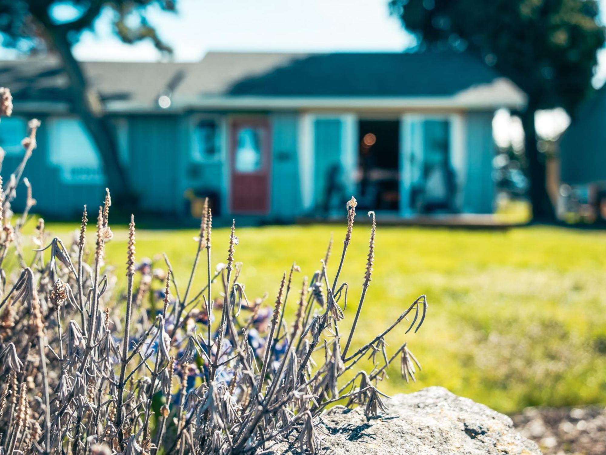 Dungeness Bay Cottages スクイム エクステリア 写真